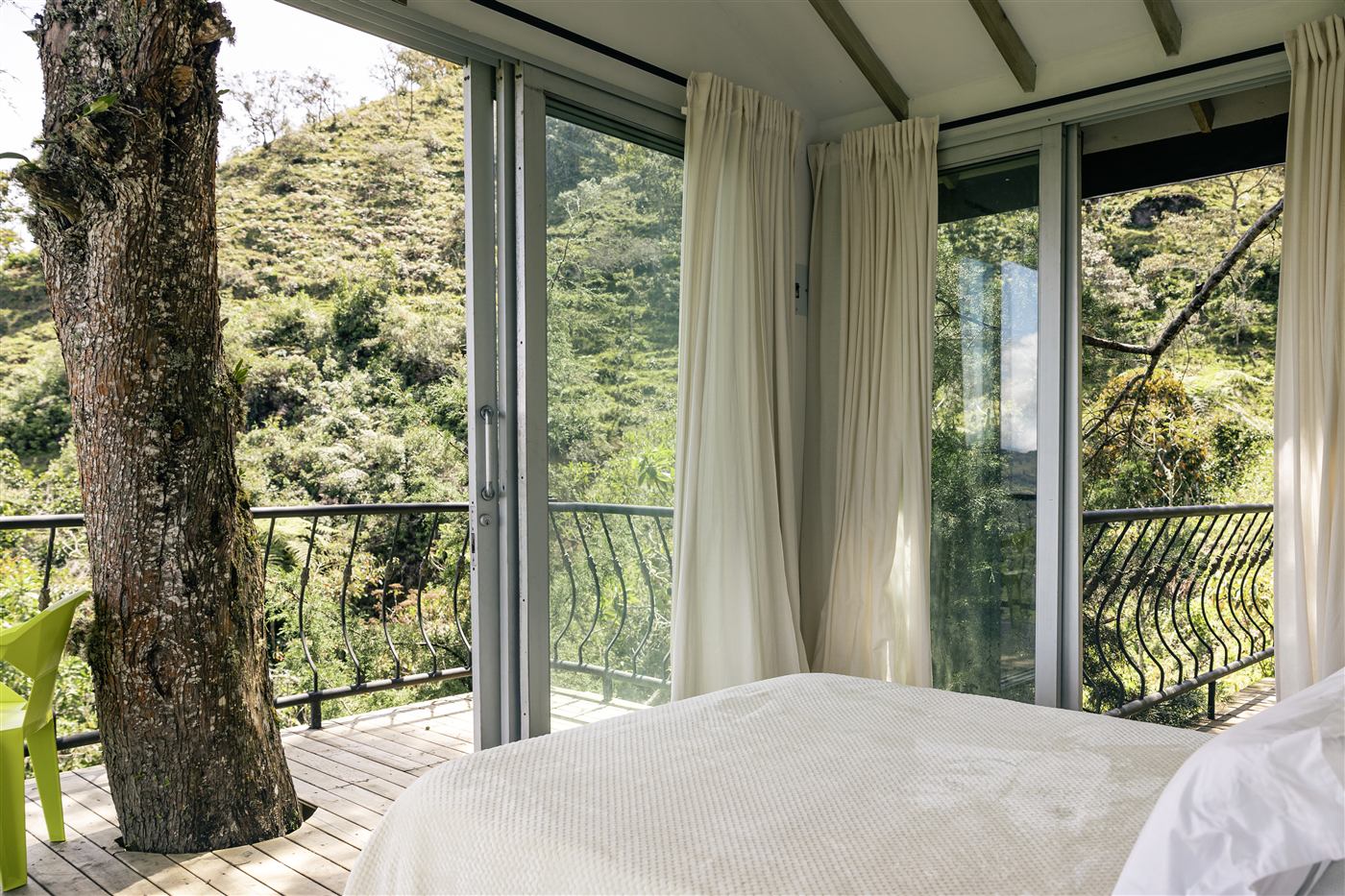Interior con tronco de &aacute;rbol Barranquero